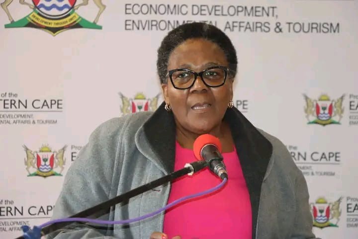 IMEDP Intsika Yethu Local Municipality Department of Small Business